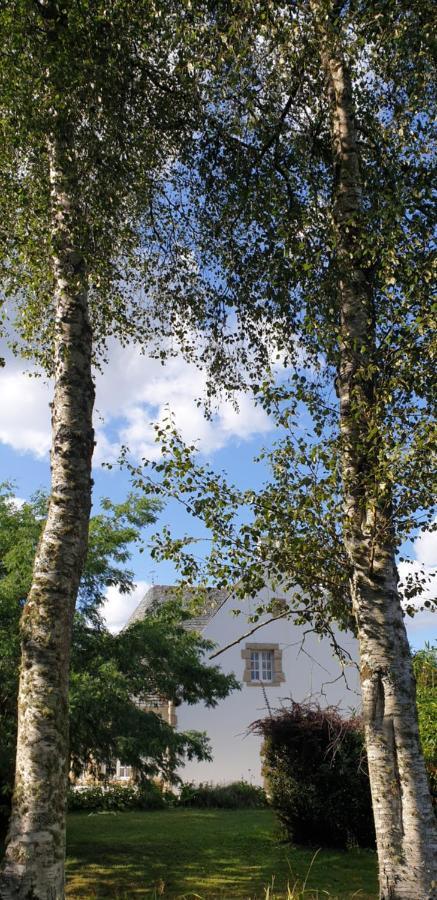 Bed and Breakfast Crown Roads Le Faouët Esterno foto